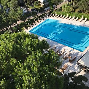 Hotel Greif
